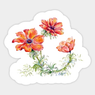 Color illustration of Red Poppies Sticker